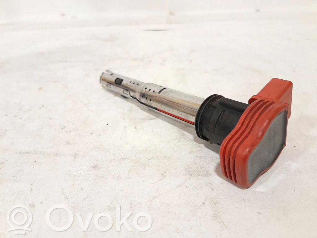 Audi A4 S4 B7 8E 8H Zündspule Zündmodul 
