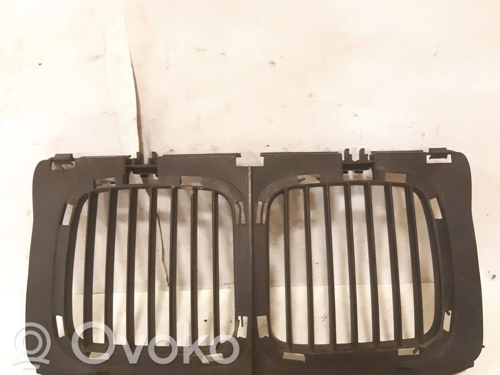 Front grill   51131973825