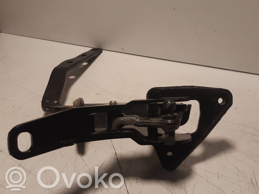 Tailgate/trunk/boot hinge   8643157