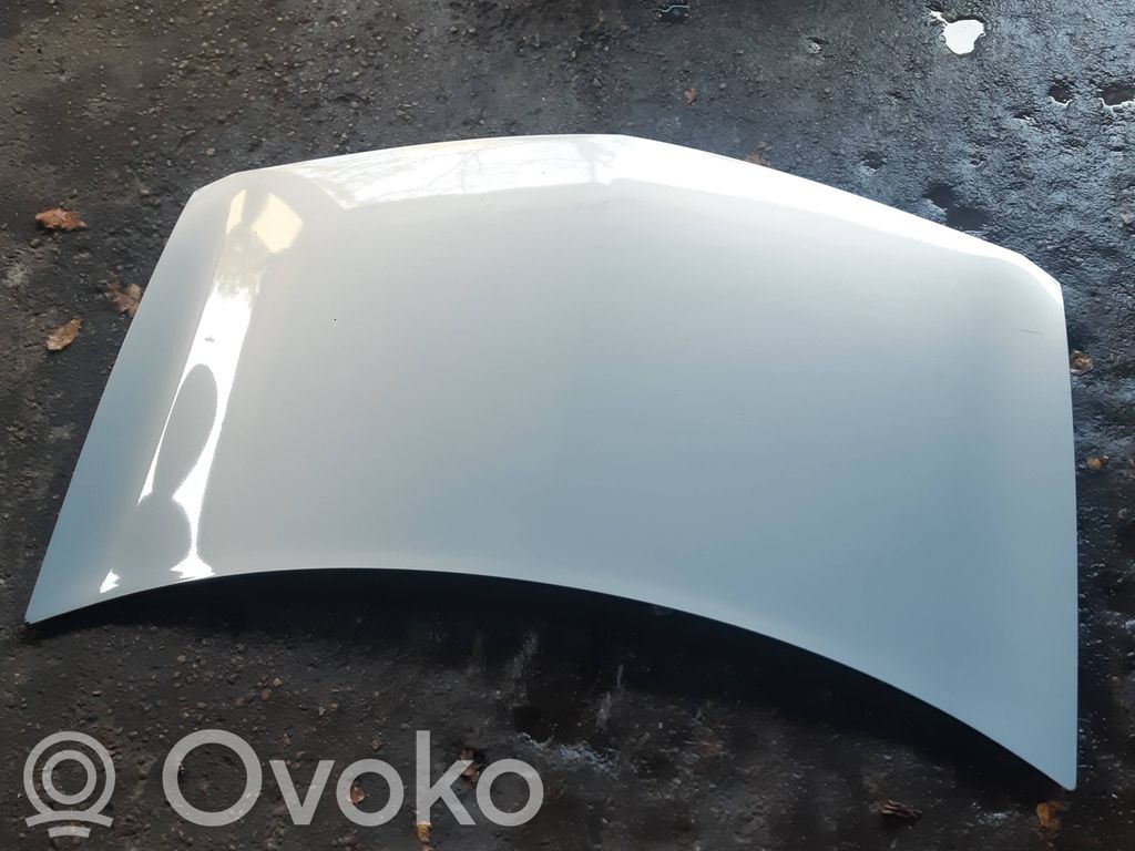 Renault Megane II Engine bonnet/hood 