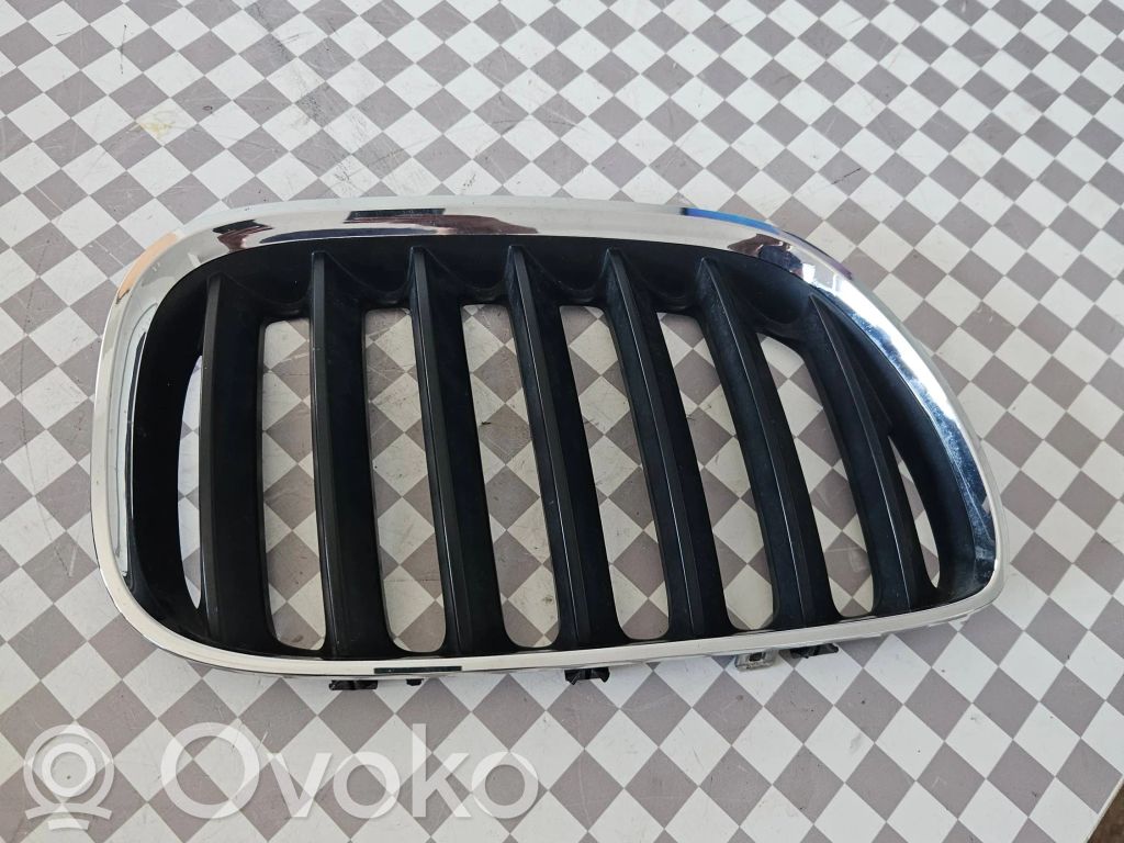 BMW X5 E53 Front grill 