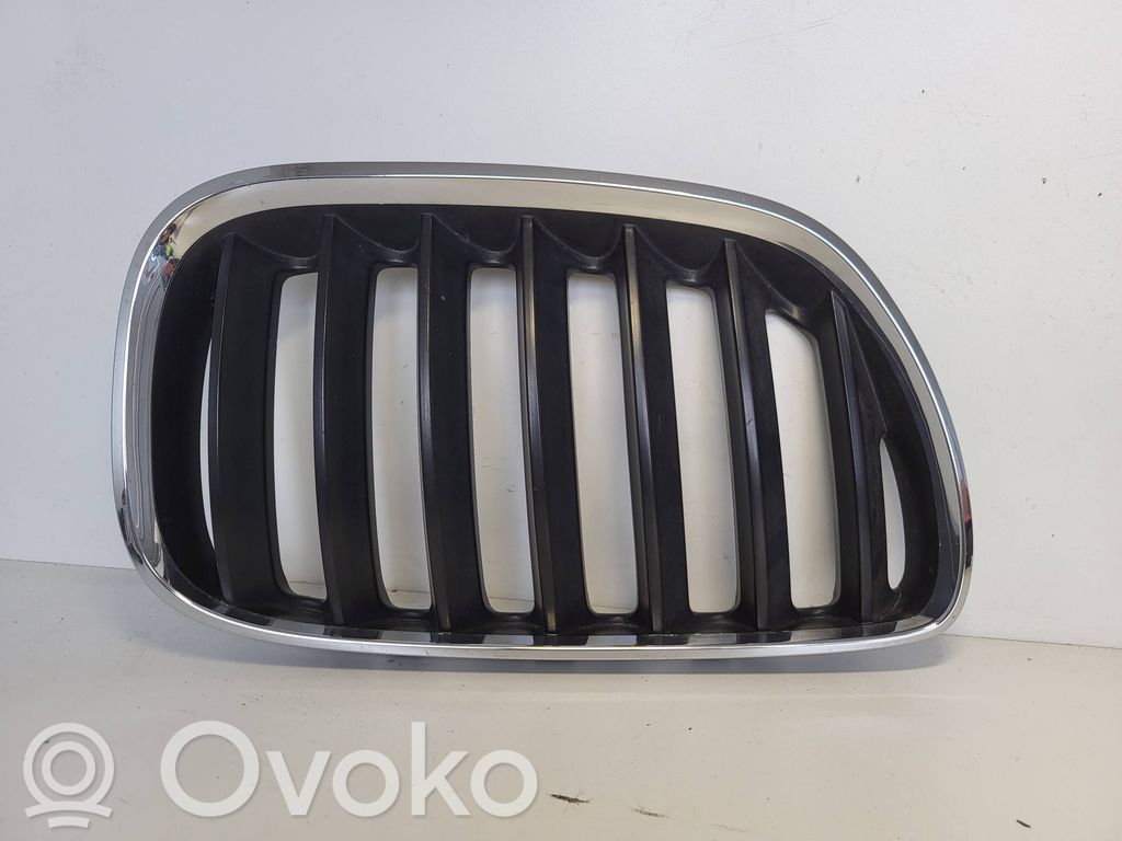 BMW X5 E53 Front bumper upper radiator grill 