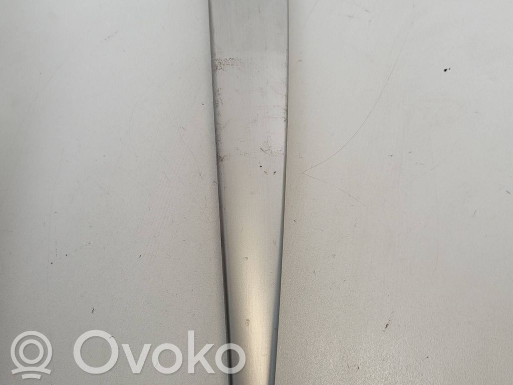 BMW X5 E53 Front door trim bar 