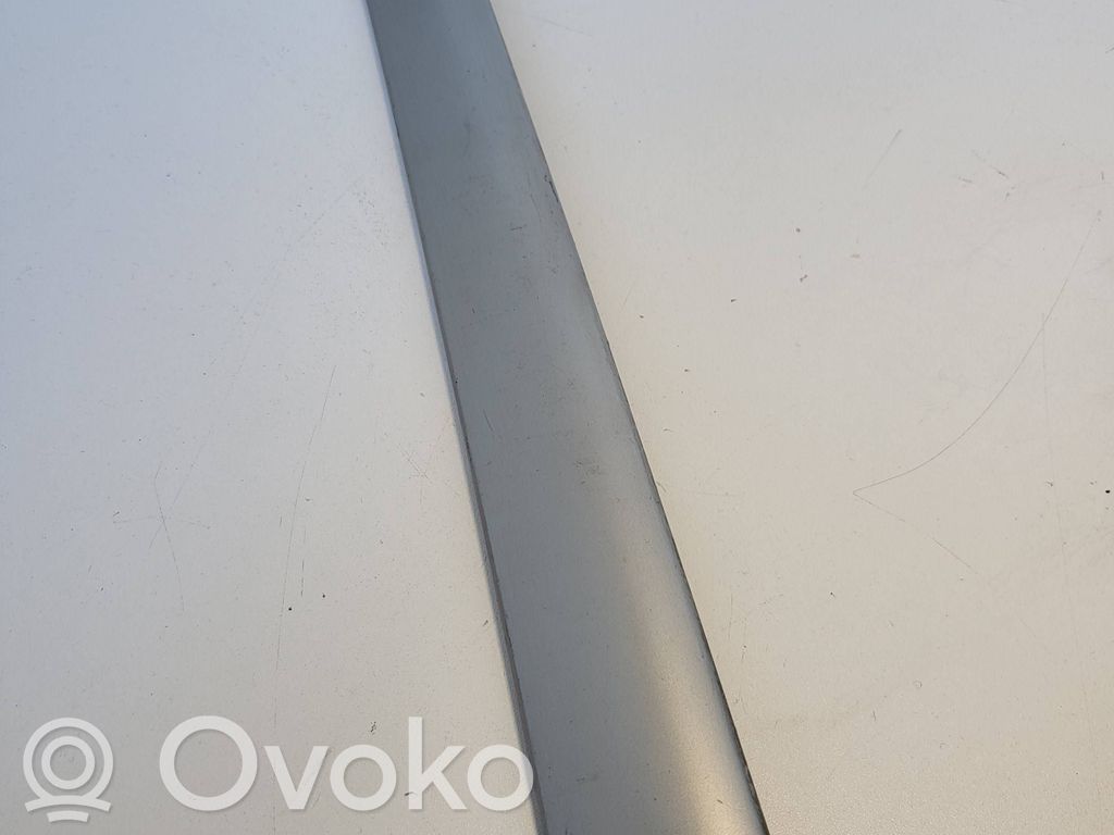 Other front door trim element   8200725
