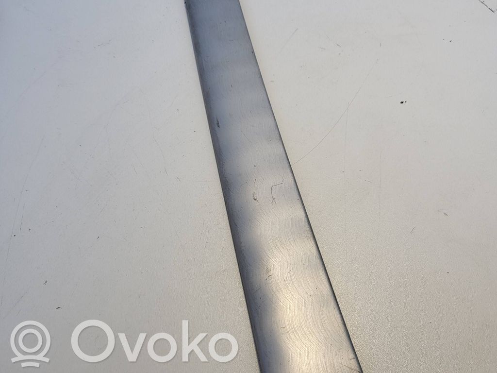 BMW 3 E46 Moldura del panel (Usadas) 