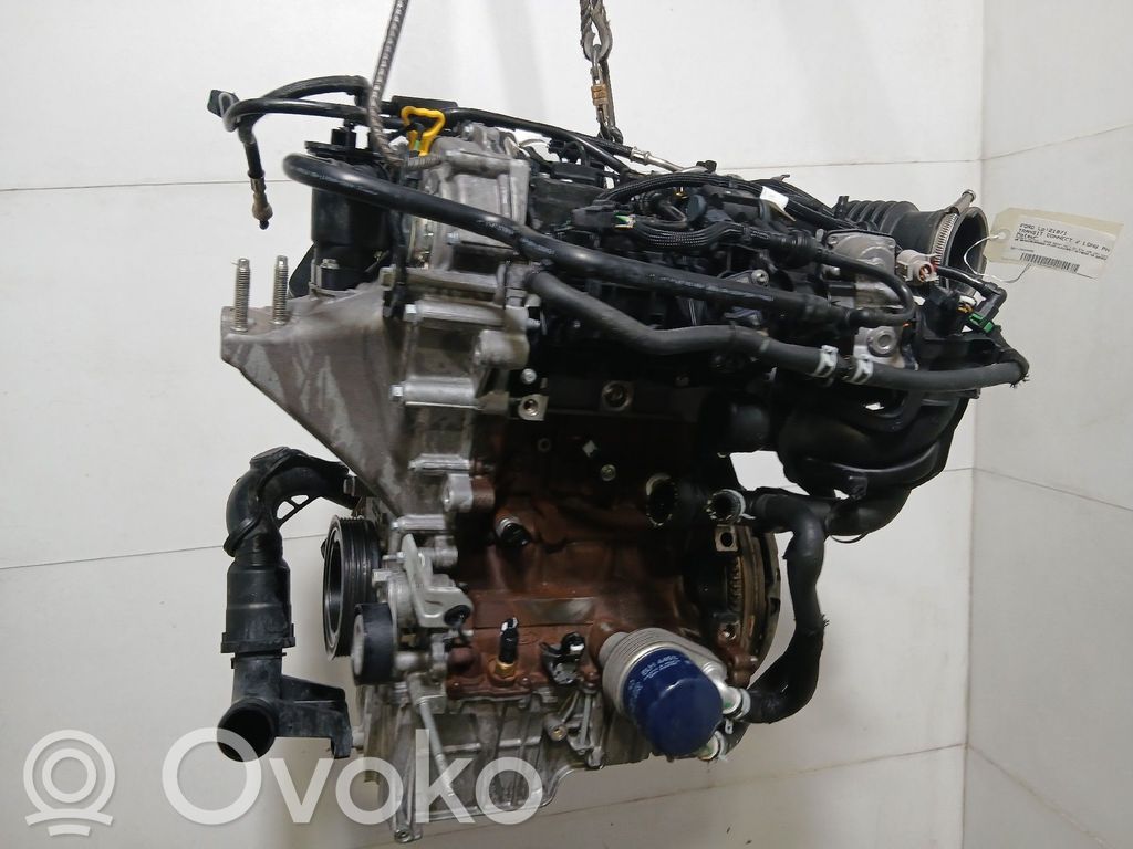 Motor   2522401