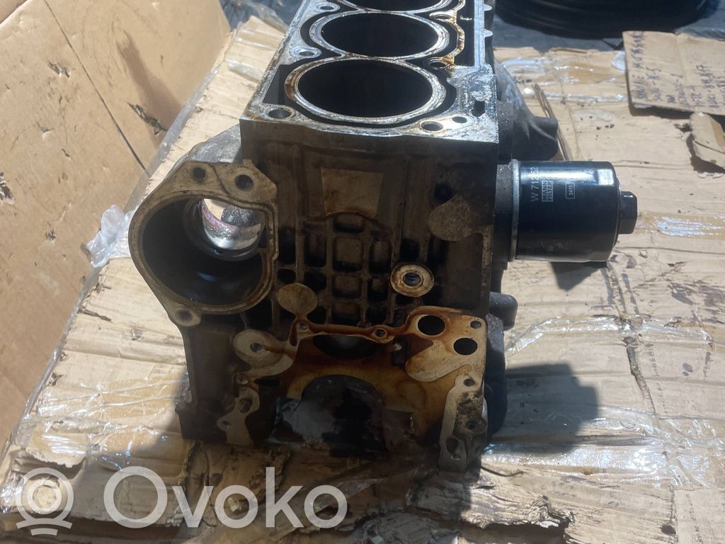 Seat Ibiza IV (6J,6P) Bloque de motor 