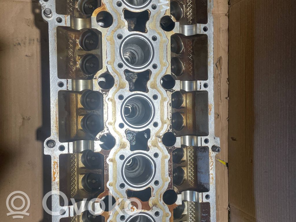 Engine head   1001837003