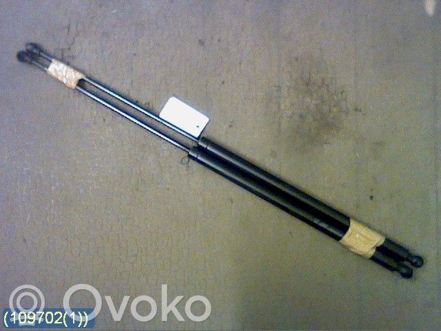 Citroen Xsara Picasso Jambe de force de hayon 