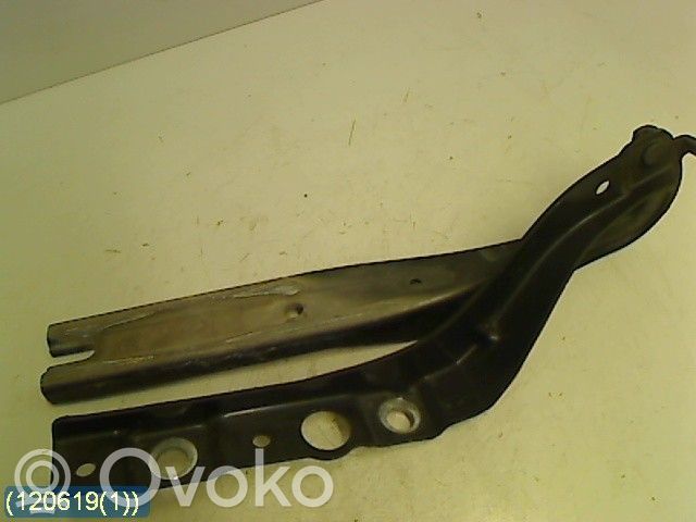 Peugeot 407 Balamale capotă 
