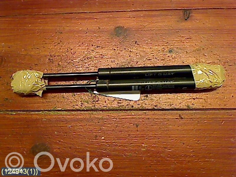 Tailgate strut   5360839,3722PH0550N