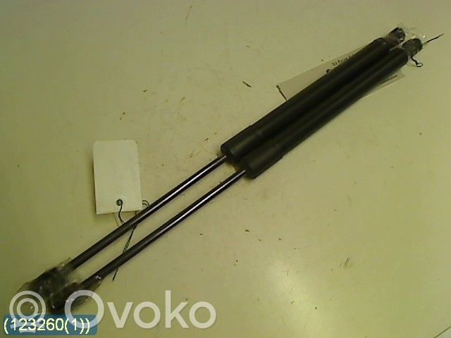 Volkswagen Golf V Jambe de force de hayon 