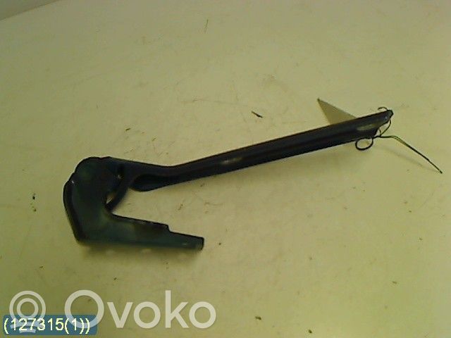 Volkswagen PASSAT B5.5 Cerniere del vano motore/cofano 