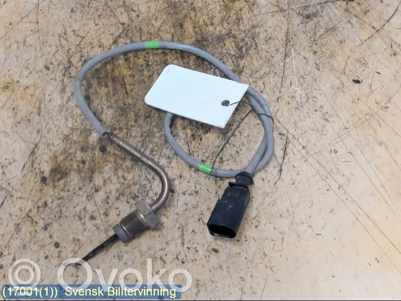 Abgastemperatursensor   04L906088BL,04L906088EE