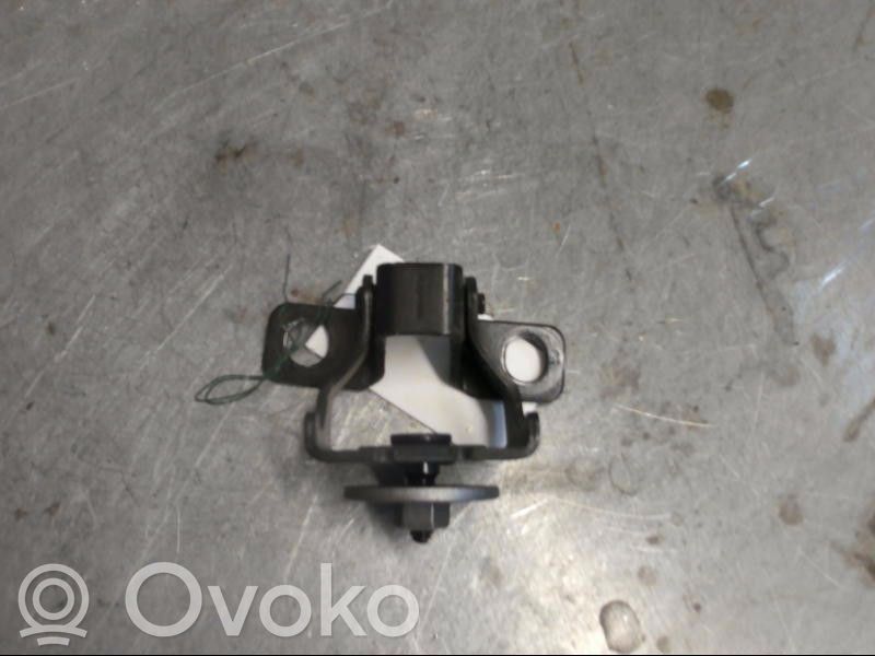 Tailgate/trunk/boot hinge   9678795880,9678795880