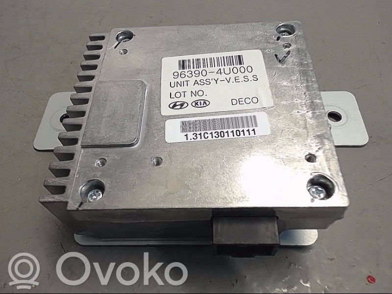 Inne komputery / moduły / sterowniki   963904U000