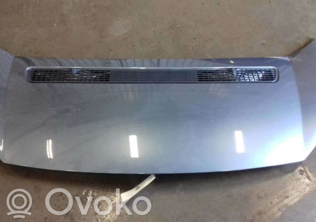 Motorhaube   7901N1