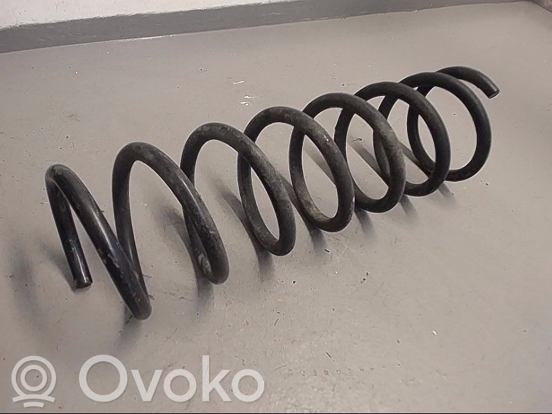Rear coil spring   1882876