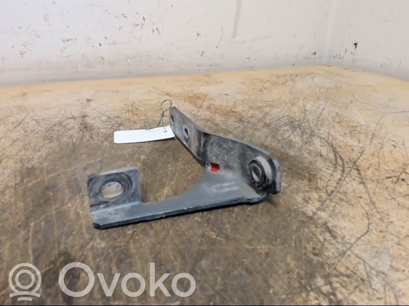 Volkswagen Amarok Tailgate/trunk/boot hinge 