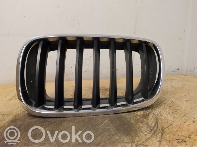 Front bumper lower grill   51137157687,51137171395