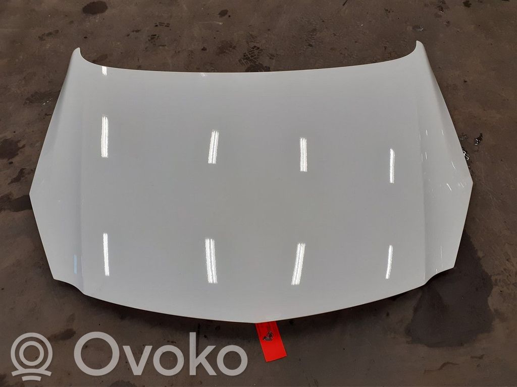 Vano motore/cofano   13276949