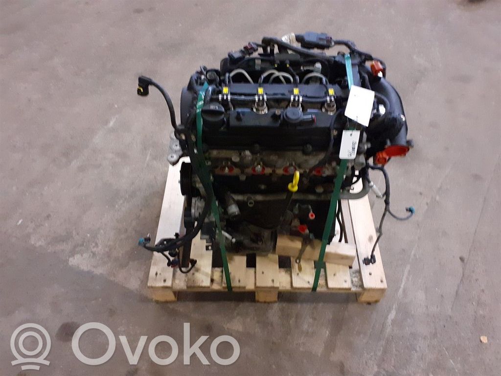 Motor   55594613