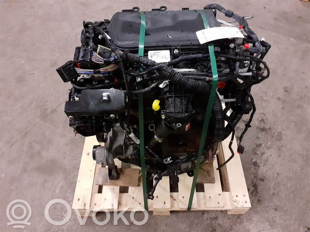 Dzinējs   9M5Q6006BD