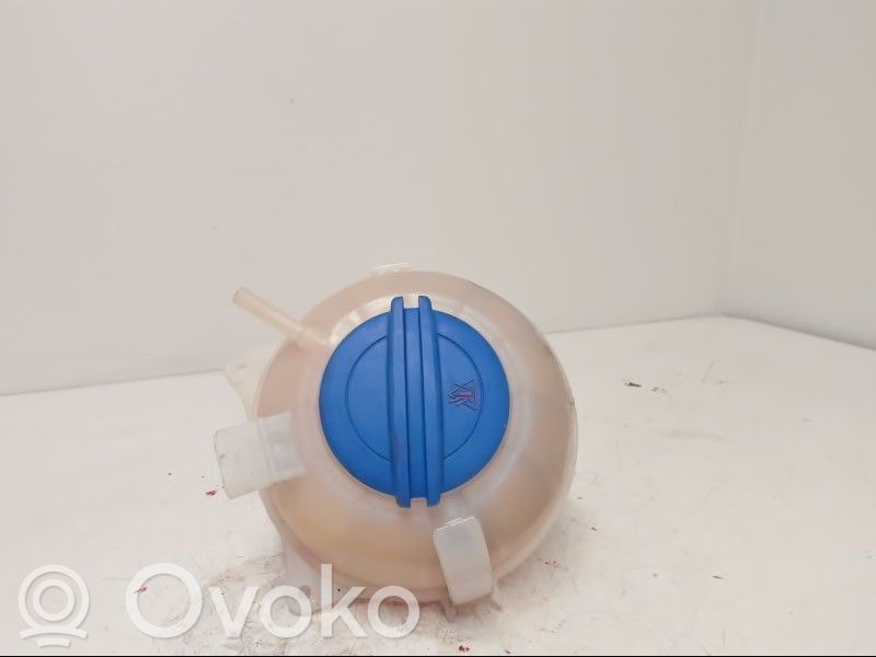 Volkswagen Polo V 6R Vas expansiune/rezervor lichid de răcire