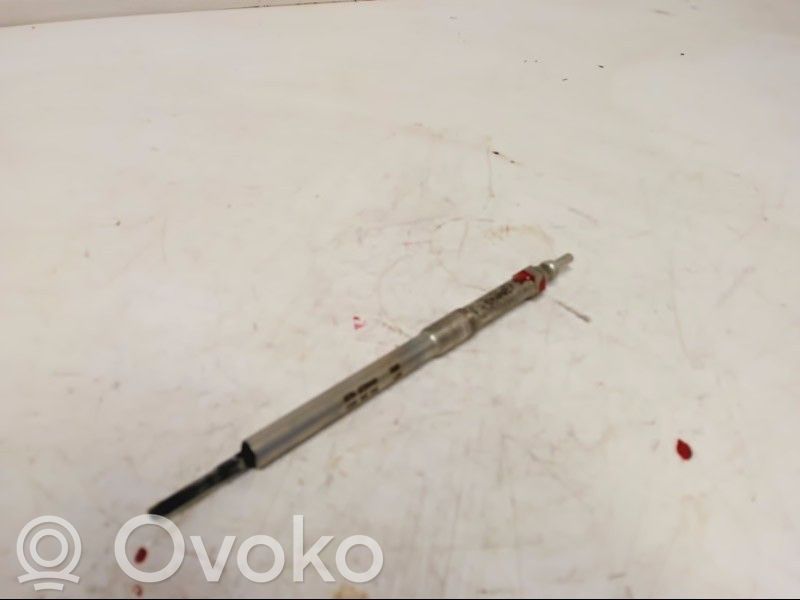 Vorglühkerze   100266056,110651492R