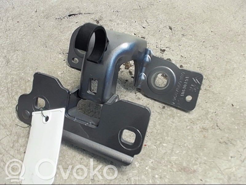 Tailgate/trunk/boot hinge   8715E7,9687860380