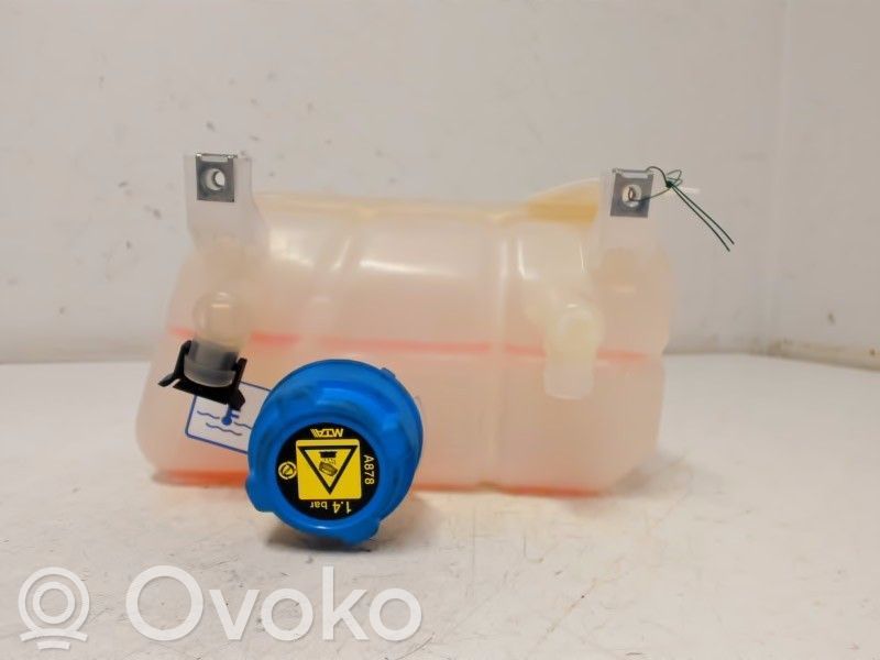 Fiat Ducato Serbatoio di compensazione del liquido refrigerante/vaschetta