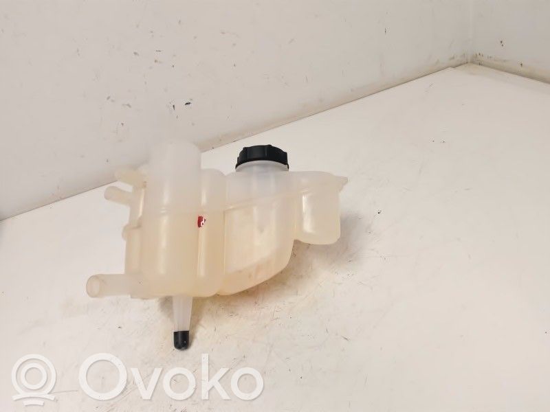 Ford Mondeo MK V Serbatoio di compensazione del liquido refrigerante/vaschetta 