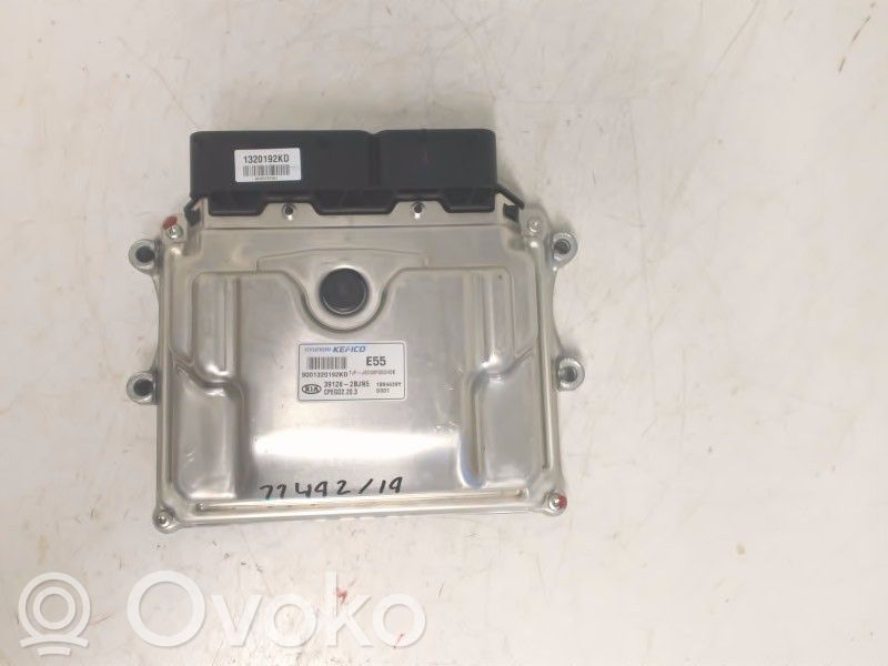 KIA Optima Injection control unit/module 