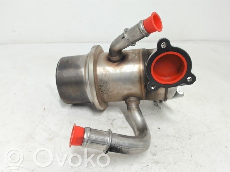 Volkswagen Golf VII Răcitor supapă EGR 