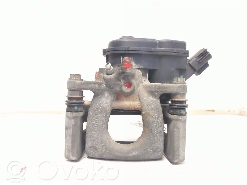 Takajarrusatula   D2Y12661X