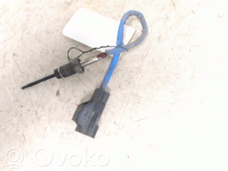 Abgastemperatursensor   1496243,8C1112B591CA