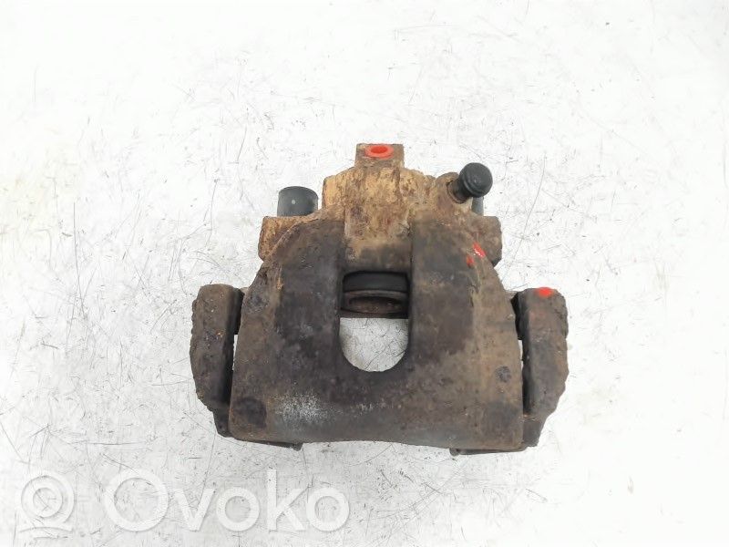 Takajarrusatula   8251312