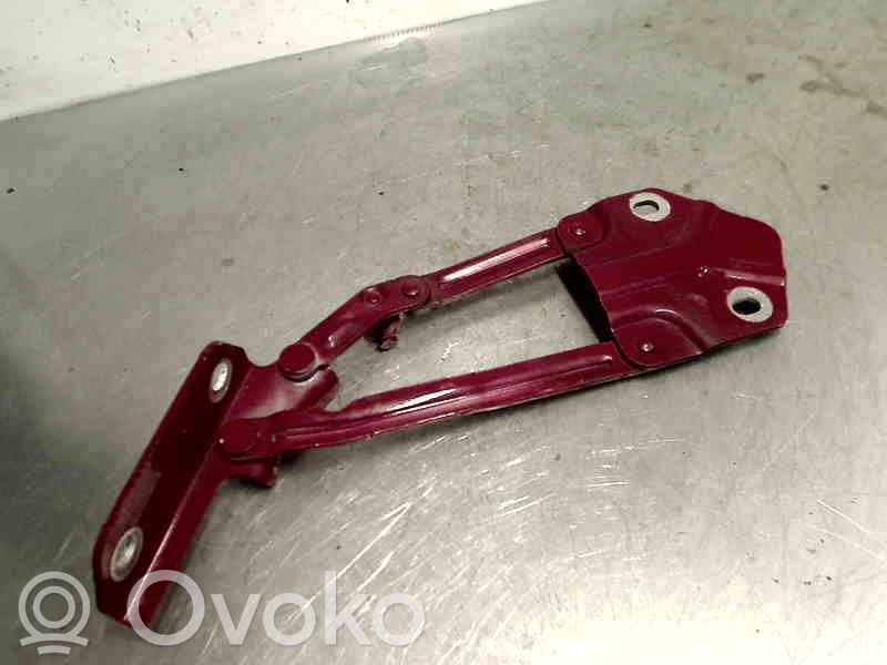 Volkswagen Touran I Cerniere del vano motore/cofano