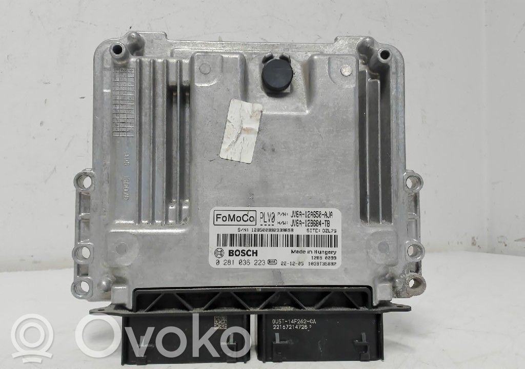 Unité de commande / module d'injection   2313997,281036223,JV6A12A650AJA