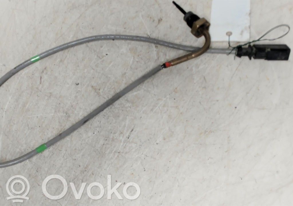 Abgastemperatursensor   04L906088BL,04L906088EE