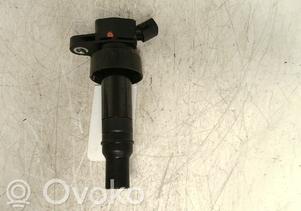 Zündspule Zündmodul   273012B100,273012B100