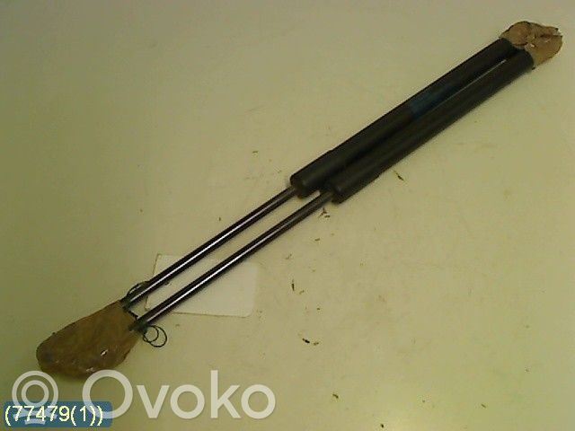 Tailgate strut   STABILUSLIFTOMAT