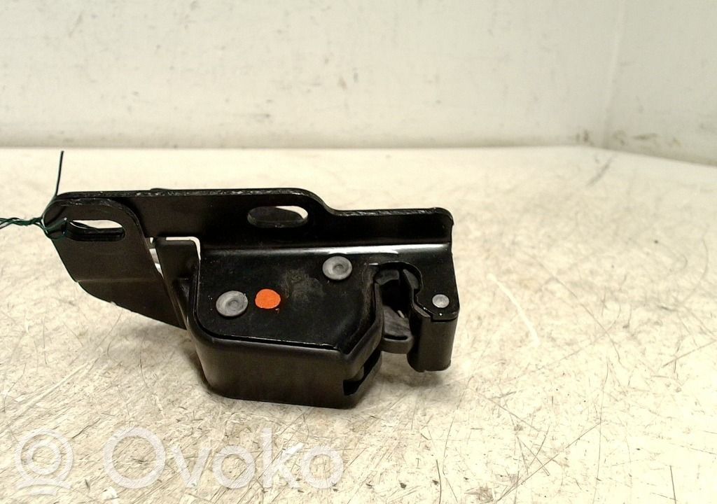 Rear door lock   9808571580