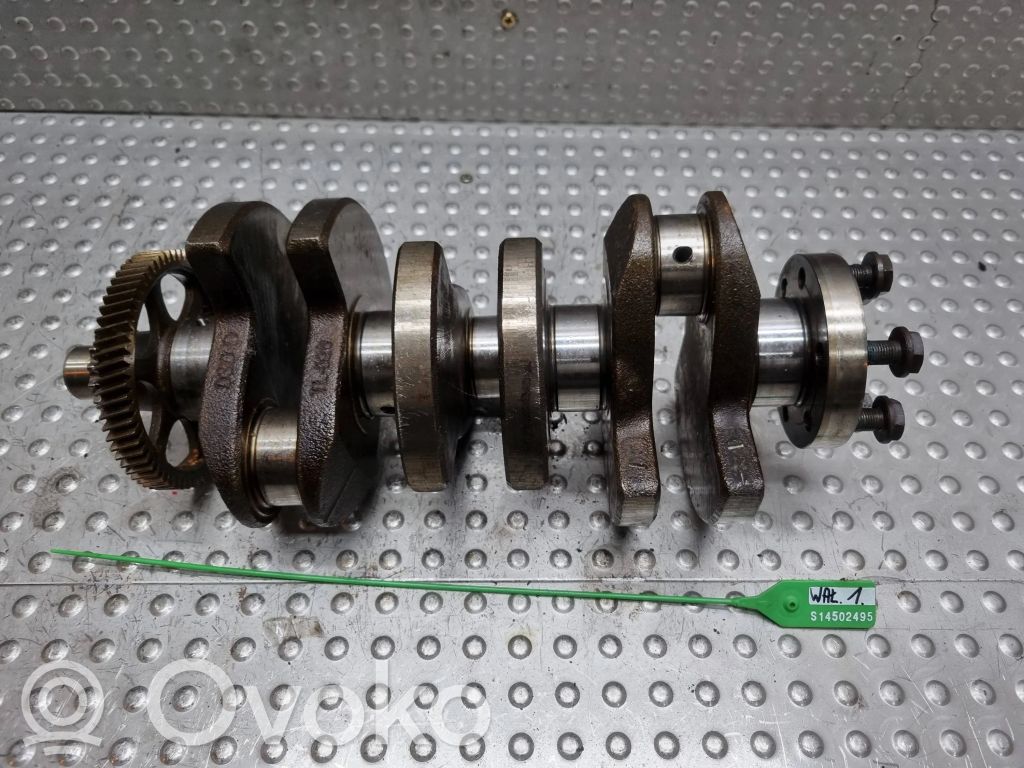 Volkswagen Polo IV 9N3 Crankshaft 