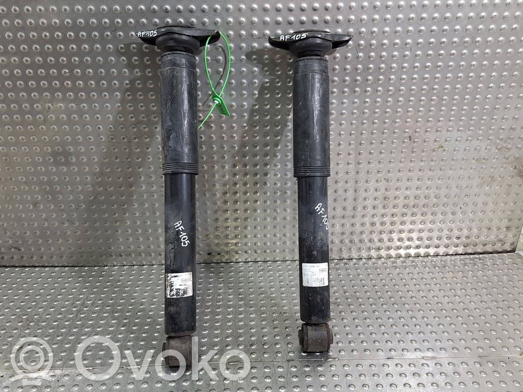 Ford S-MAX Stoßdämpfer hinten 