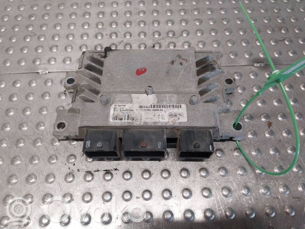 Ford Fiesta Engine control unit/module 