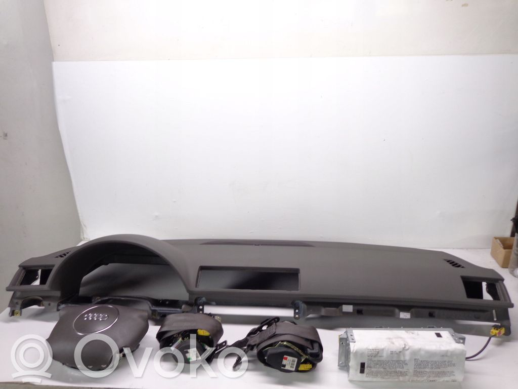 Audi A4 S4 B6 8E 8H Panelis 
