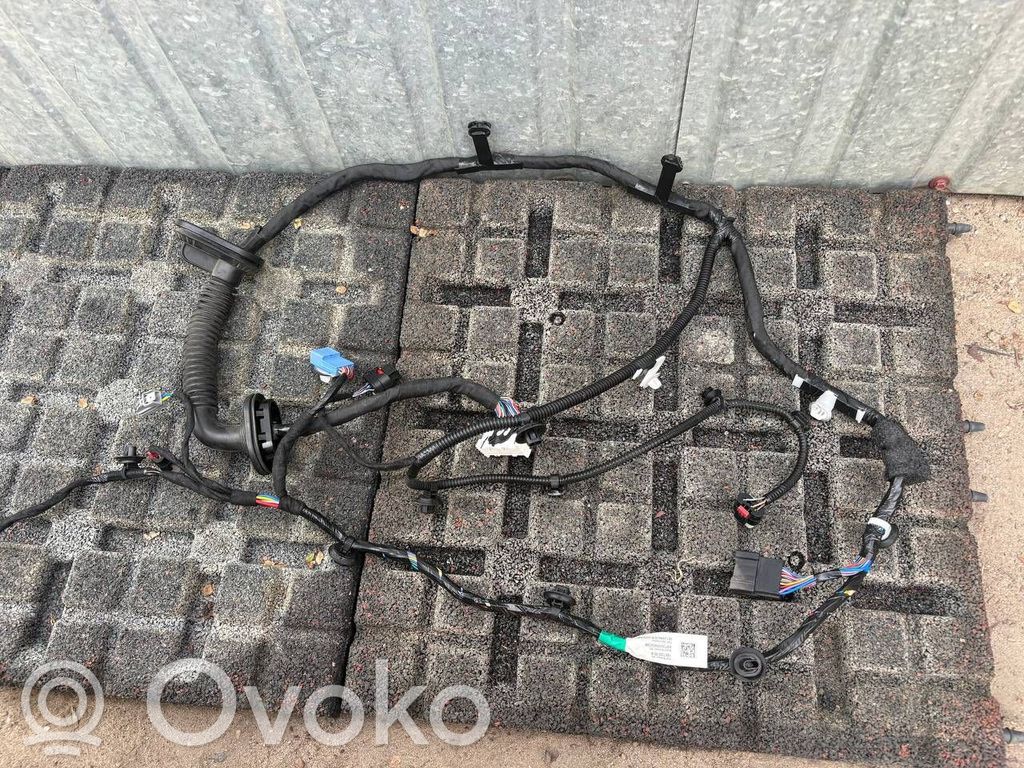 Tesla Model 3 Highland Cableado de puerta delantera 