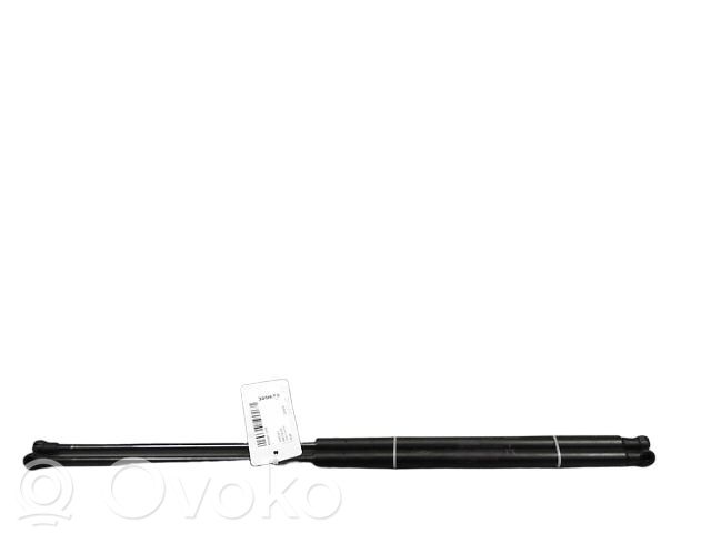 Nissan Juke I F15 Ammortizzatore portellone posteriore/bagagliaio 