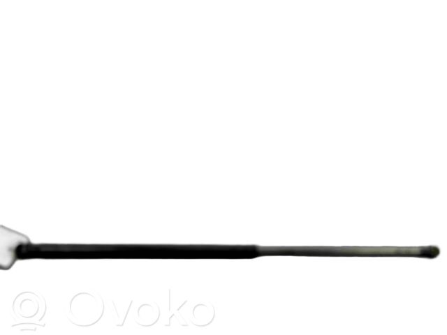 Citroen C1 Tailgate/trunk strut/damper 
